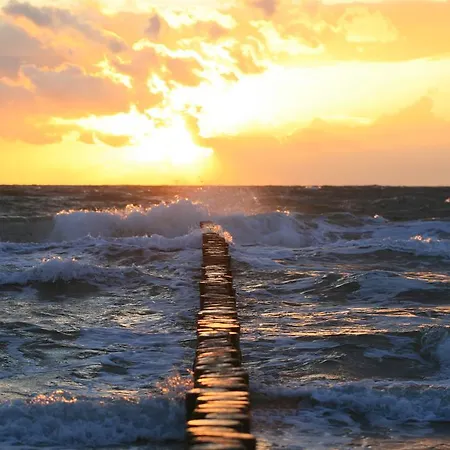 Deutsches Haus Am Fischlander Hafen 부스트로우