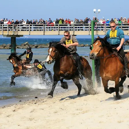 Deutsches Haus Am Fischlander Hafen